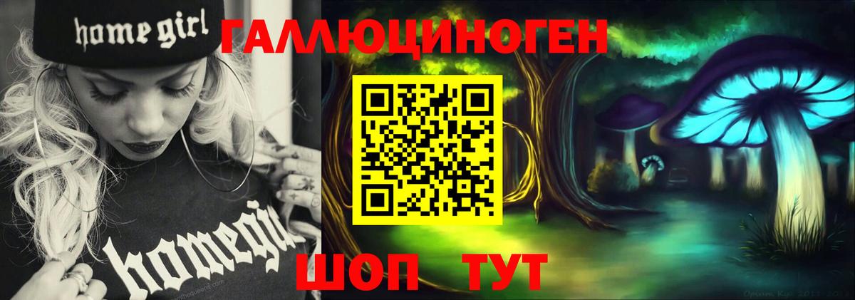 Псилоцибиновые грибы GOLDEN TEACHER Кимры